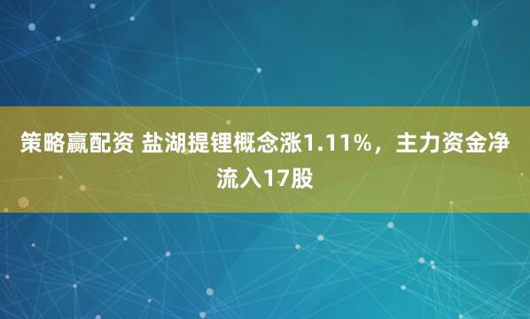 策略赢配资 盐湖提锂概念涨1.11%，主力资金净流入17股
