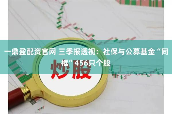 一鼎盈配资官网 三季报透视：社保与公募基金“同框”456只个股