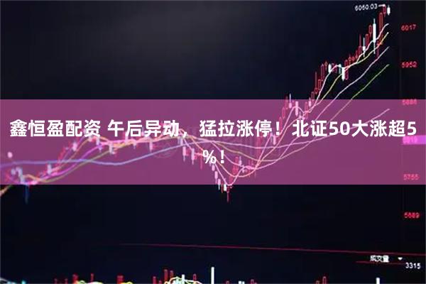 鑫恒盈配资 午后异动，猛拉涨停！北证50大涨超5%！