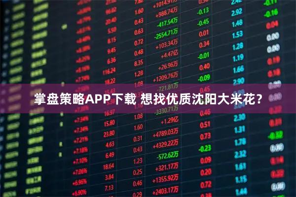 掌盘策略APP下载 想找优质沈阳大米花？