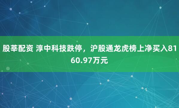股莘配资 淳中科技跌停，沪股通龙虎榜上净买入8160.97万元