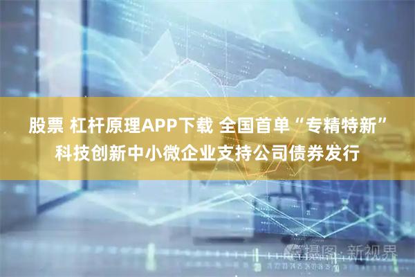 股票 杠杆原理APP下载 全国首单“专精特新”科技创新中小微企业支持公司债券发行